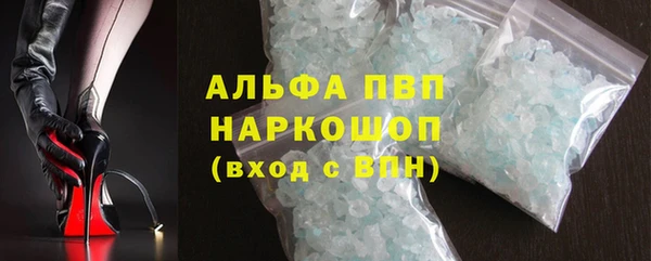 PSILOCYBIN Вяземский