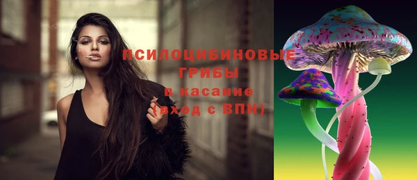 ГАЛЛЮЦИНОГЕННЫЕ ГРИБЫ Вязники