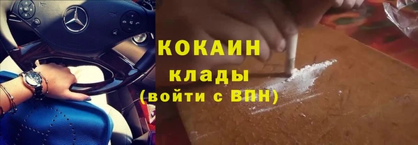 ГАЛЛЮЦИНОГЕННЫЕ ГРИБЫ Вязники