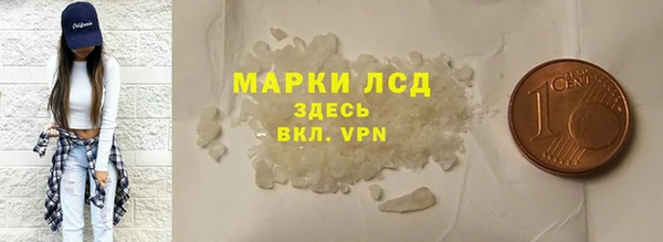 PSILOCYBIN Вяземский