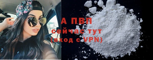 PSILOCYBIN Вяземский