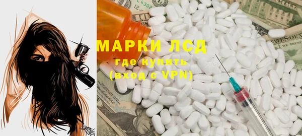 ГАЛЛЮЦИНОГЕННЫЕ ГРИБЫ Вязники