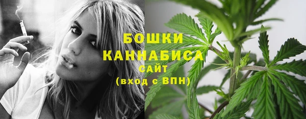 ГАЛЛЮЦИНОГЕННЫЕ ГРИБЫ Вязники