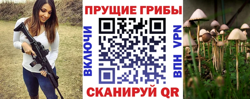 ОМГ ОМГ зеркало  Малоярославец  Галлюциногенные грибы Magic Shrooms 