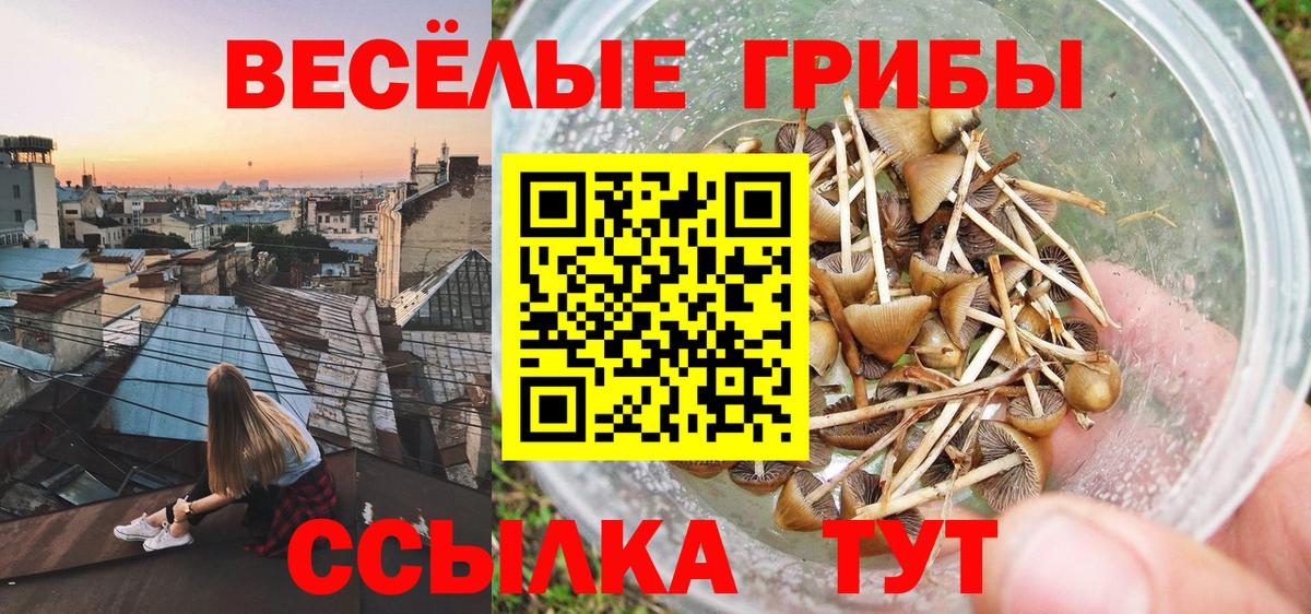 что такое   Псилоцибиновые грибы ЛСД  Вход с VPN  Малоярославец  Галлюциногенные грибы мицелий 